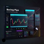 boring pips