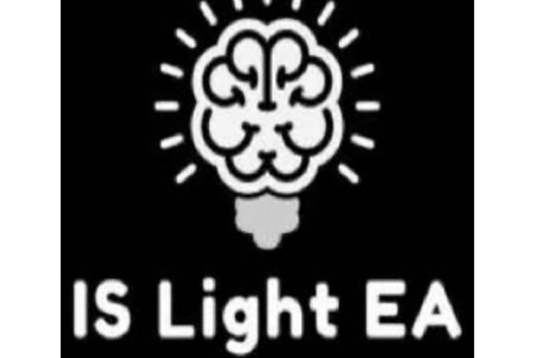 IS LIGHT MT4